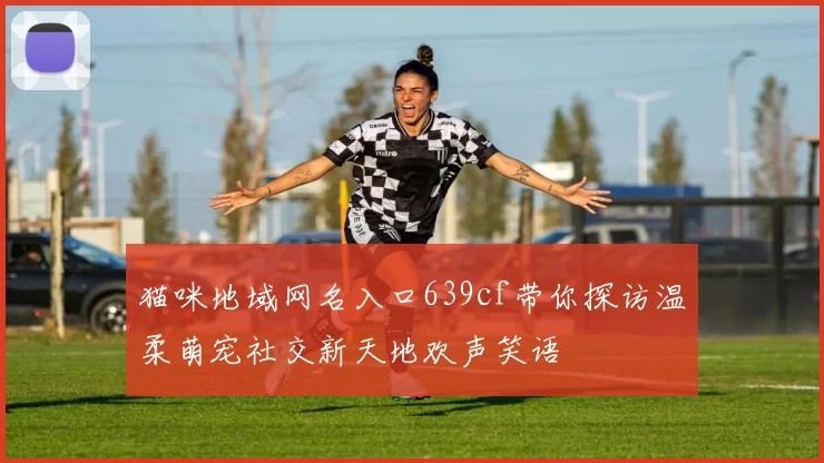 猫咪地域网名入口639cf带你探访温柔萌宠社交新天地欢声笑语