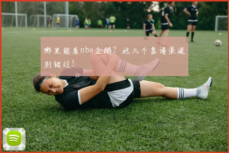 哪里能看nba企鹅？这几个靠谱渠道别错过！