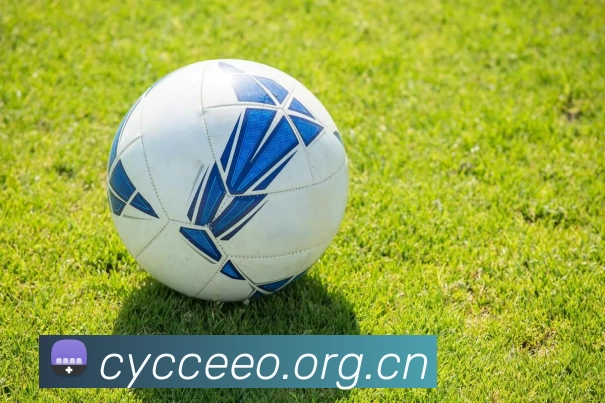 leyu乐鱼平台生态图