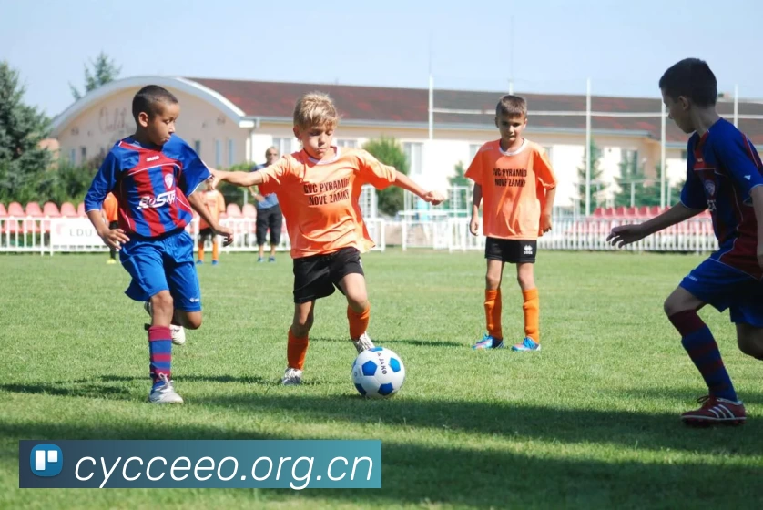 leyu乐鱼APP 封面图